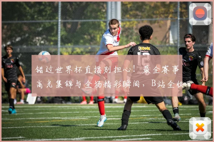 错过世界杯直播别担心！最全赛事高光集锦与全场精彩瞬间，B站全收录